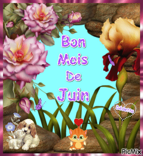 Bon mois de Juin animation