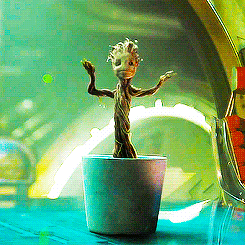 Groot danse pot de fleurs