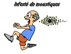 Infesté de moustiques