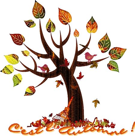 C'est l'automne arbre et feuilles mortes