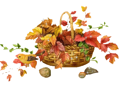 Panier d'automne