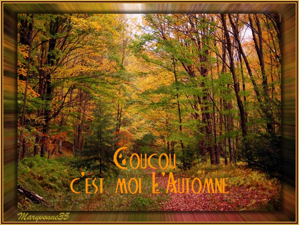 Coucou c'est moi l'automne