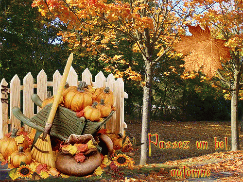 Passer un bel automne et une belle fête d'halloween