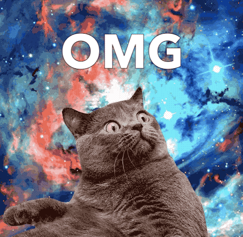 OMG psychedelic cat