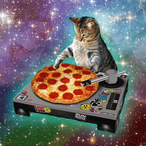 DJ Chat pizza