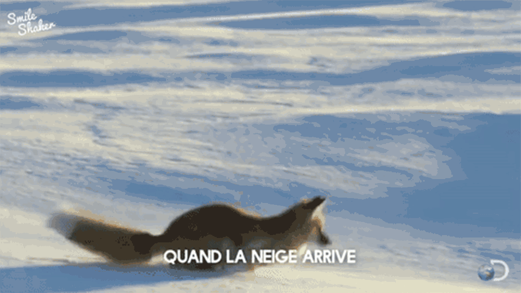 Quand la neige arrive