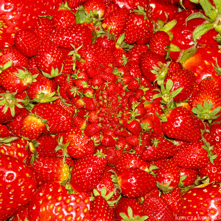 Fraises hypnotiques