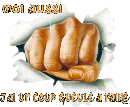 moi aussi j'ai un coup de gueule à faire