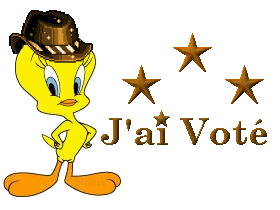 J'ai voté