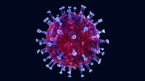 virus covid 19