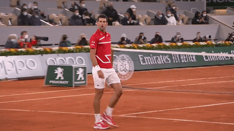 Novak Djokovic rage de vaincre