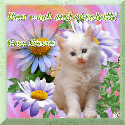 Bon week-end ensoleillée