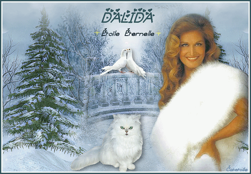 Dalida étoile éternelle